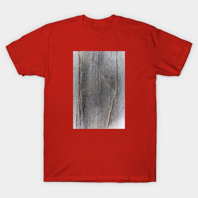 Volcanic Stone Surface Texture - Alternative T-Shirt by textural